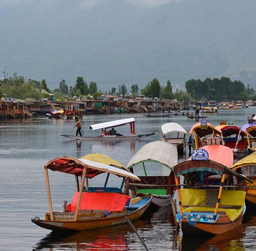 srinagar